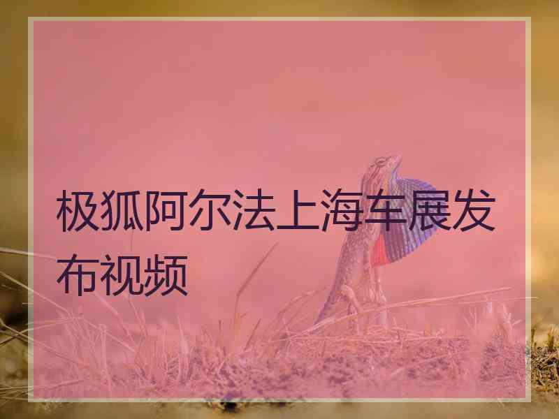 极狐阿尔法上海车展发布视频
