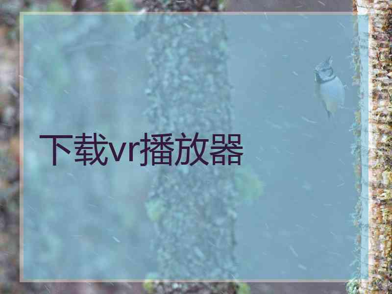 下载vr播放器