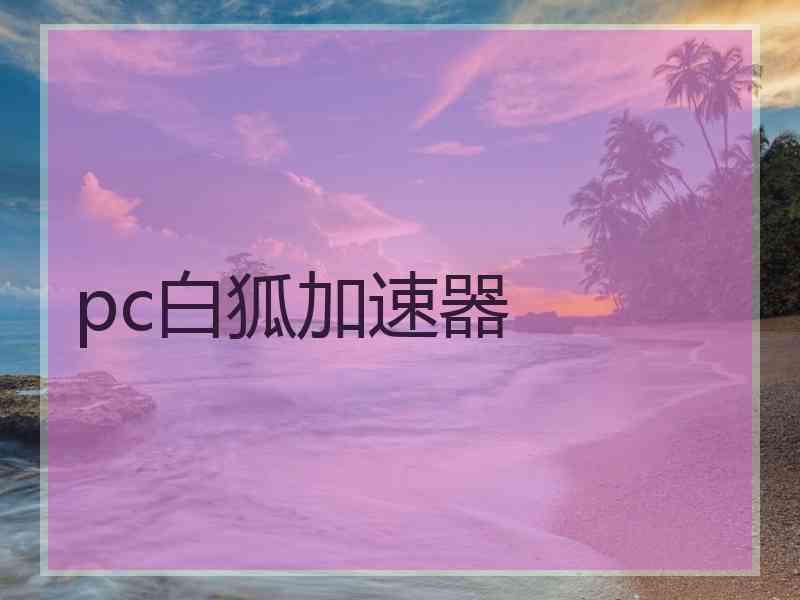 pc白狐加速器