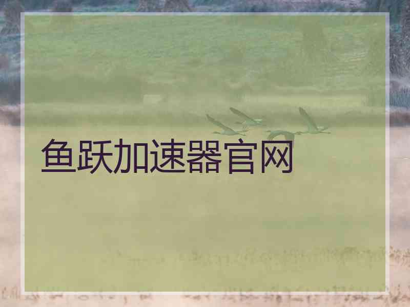 鱼跃加速器官网