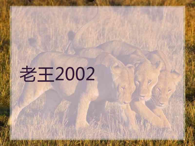 老王2002