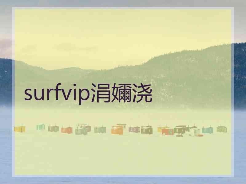 surfvip涓嬭浇