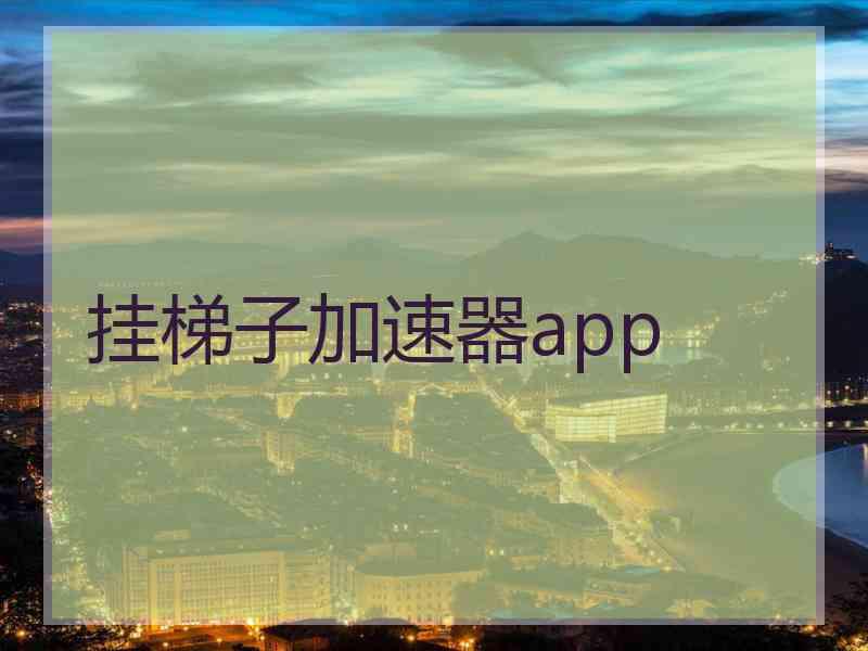挂梯子加速器app