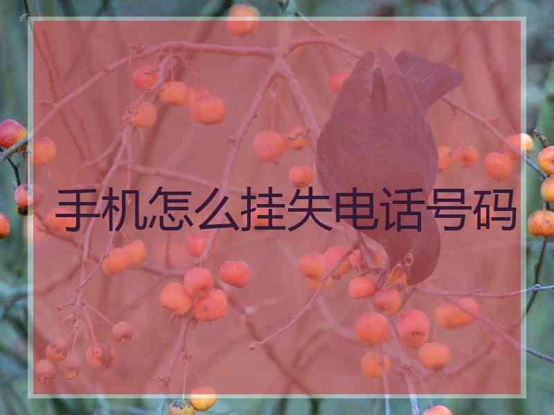 手机怎么挂失电话号码