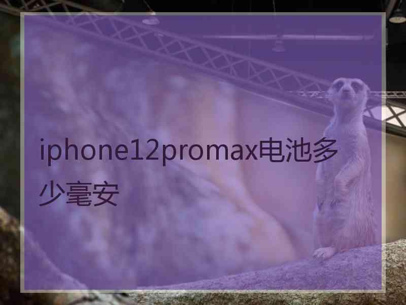 iphone12promax电池多少毫安