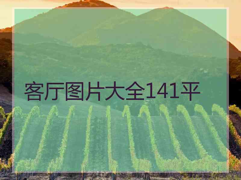客厅图片大全141平
