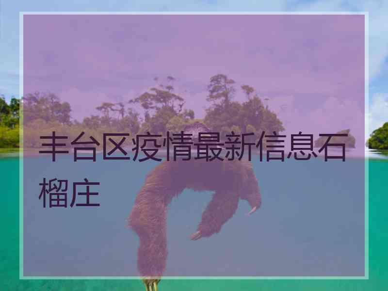 丰台区疫情最新信息石榴庄