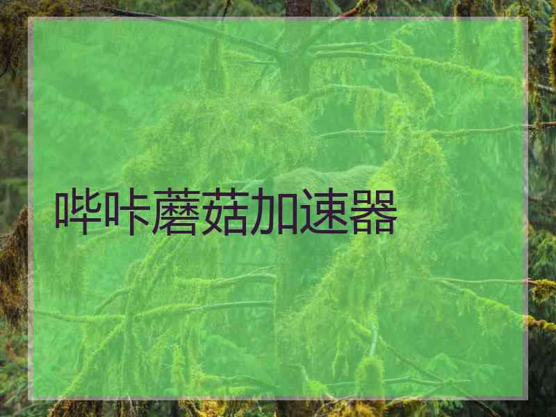 哔咔蘑菇加速器