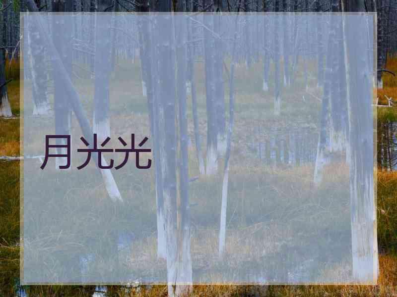 月光光