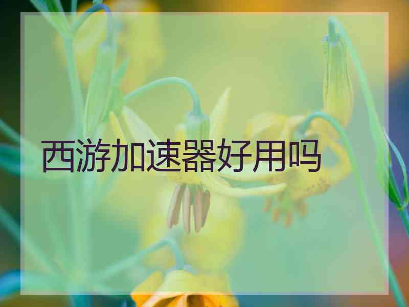 西游加速器好用吗