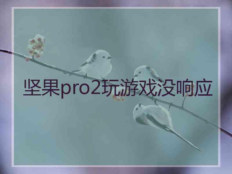 坚果pro2玩游戏没响应