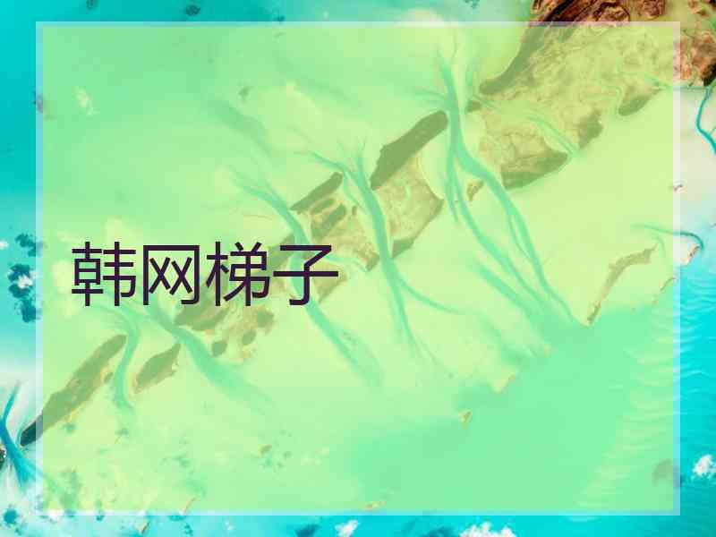 韩网梯子