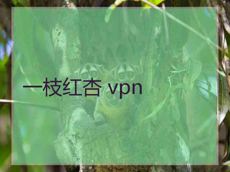 一枝红杏 vpn