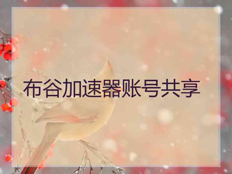 布谷加速器账号共享