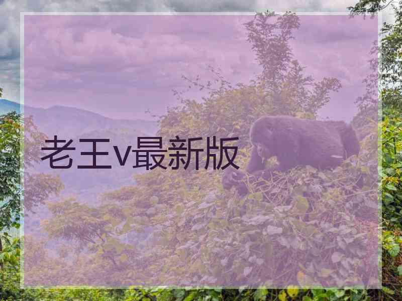老王v最新版