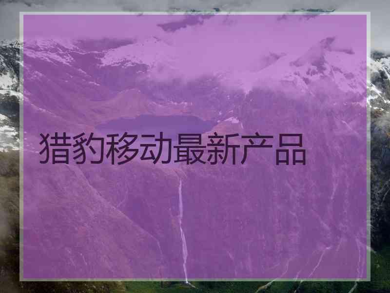 猎豹移动最新产品