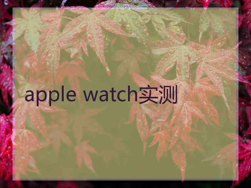 apple watch实测
