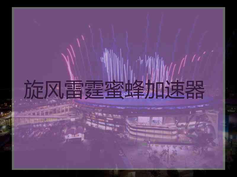 旋风雷霆蜜蜂加速器