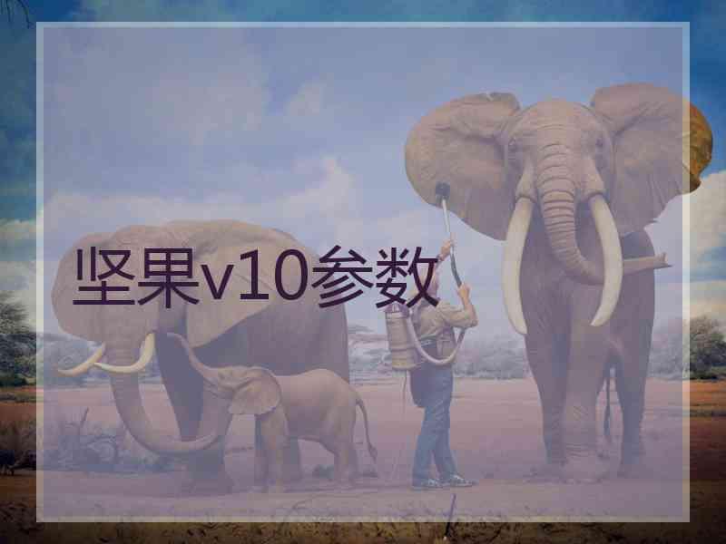 坚果v10参数