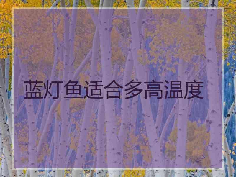 蓝灯鱼适合多高温度