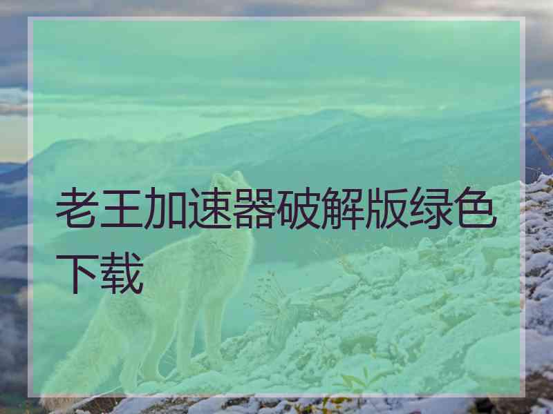 老王加速器破解版绿色下载