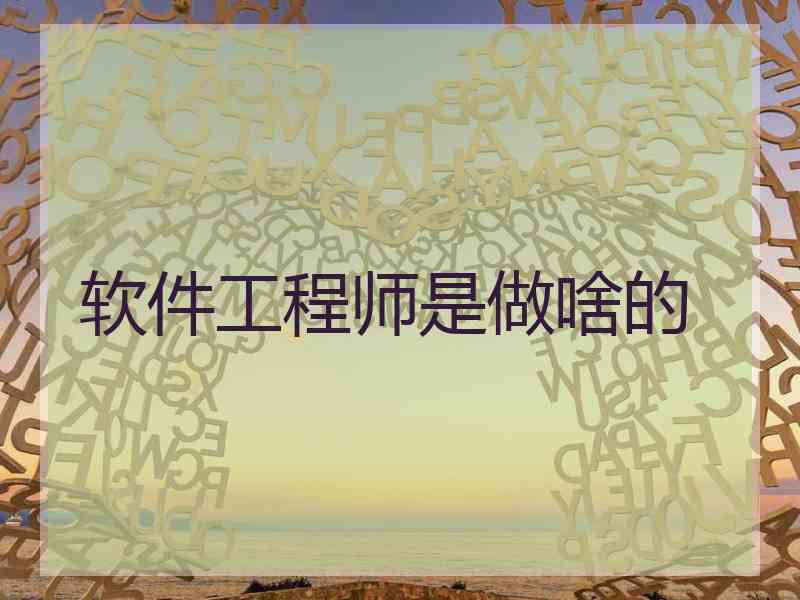 软件工程师是做啥的