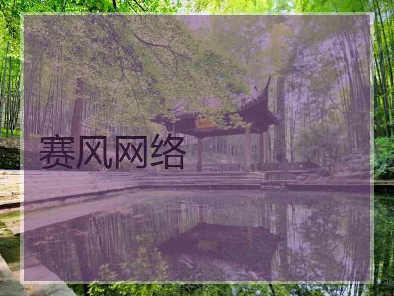 赛风网络