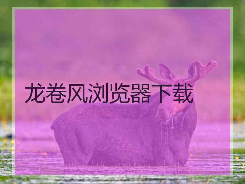 龙卷风浏览器下载