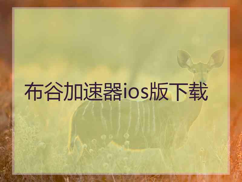 布谷加速器ios版下载