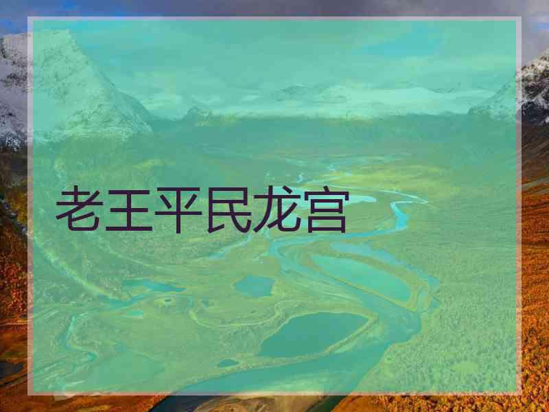 老王平民龙宫