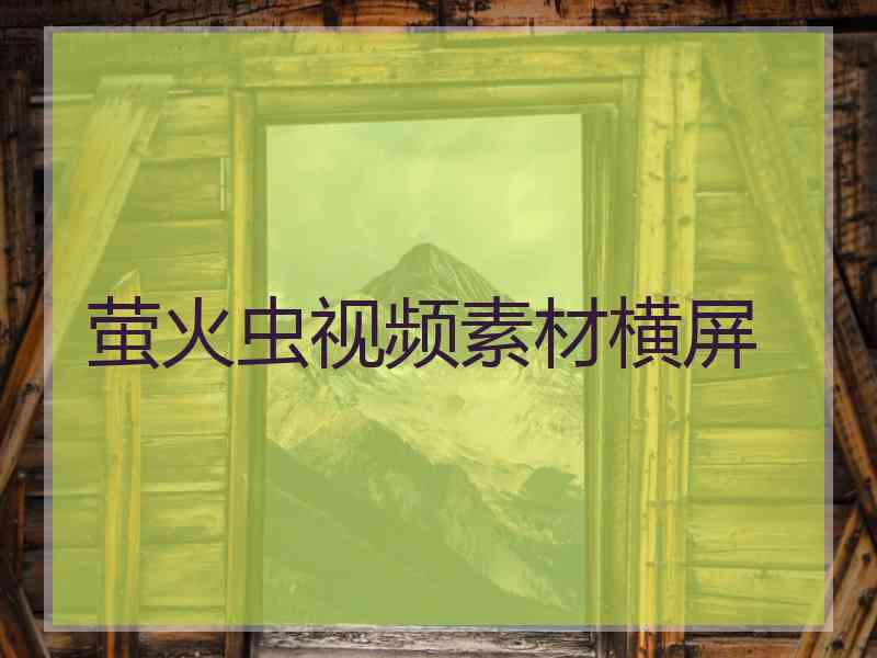 萤火虫视频素材横屏