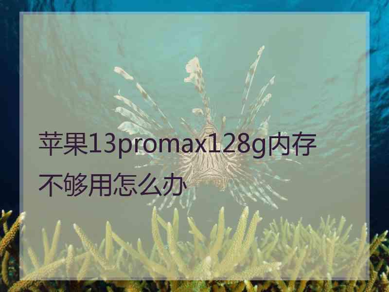 苹果13promax128g内存不够用怎么办