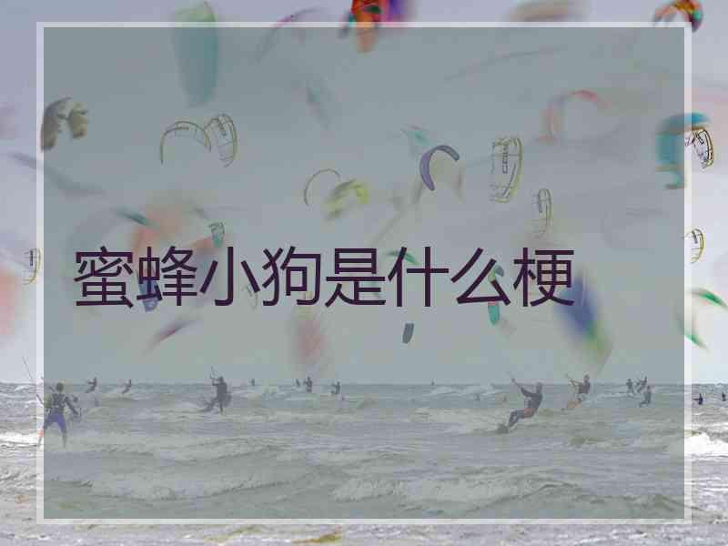 蜜蜂小狗是什么梗