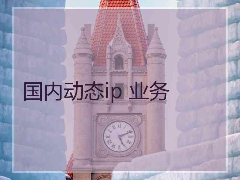 国内动态ip 业务