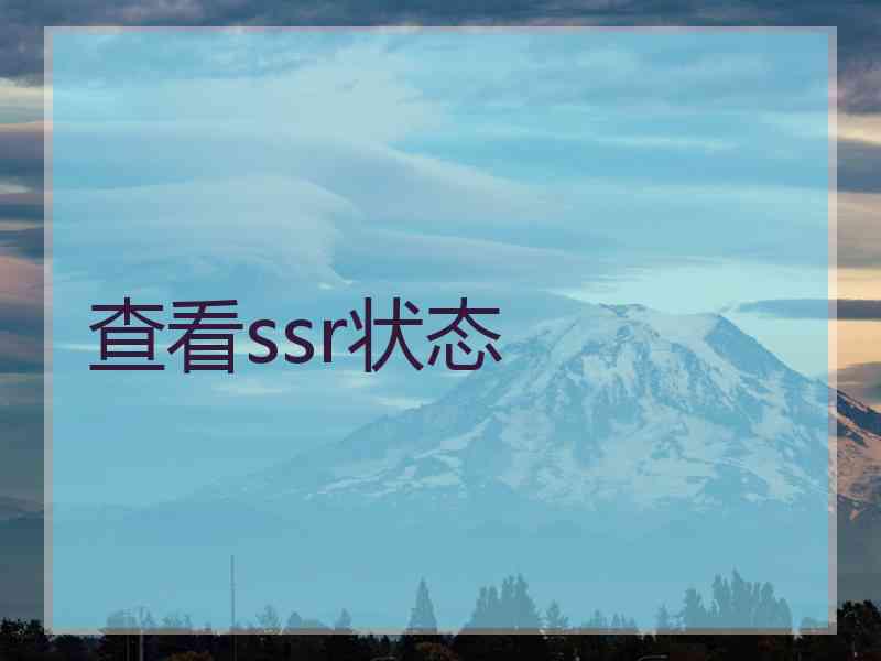 查看ssr状态