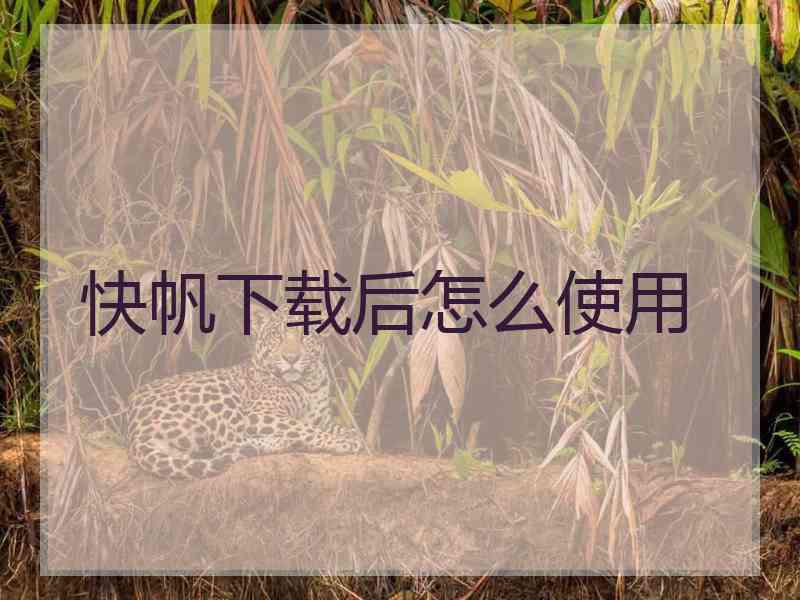 快帆下载后怎么使用