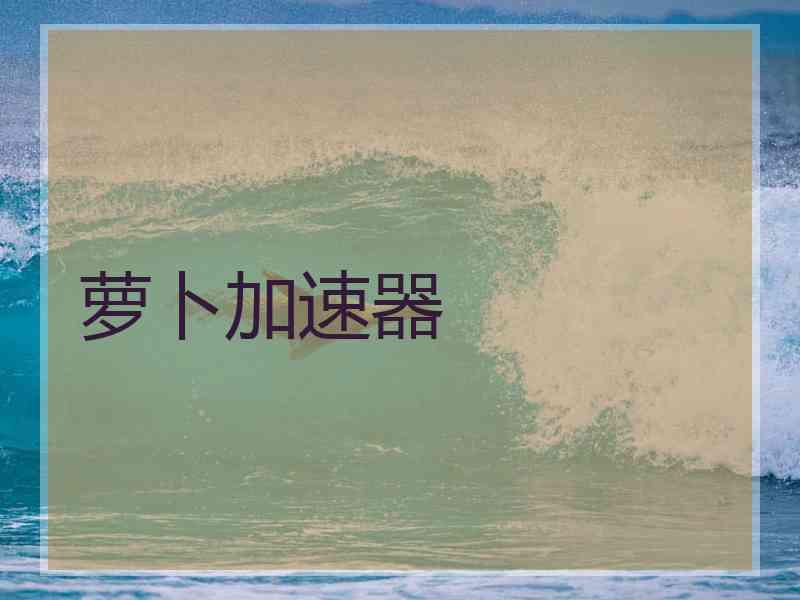 萝卜加速器