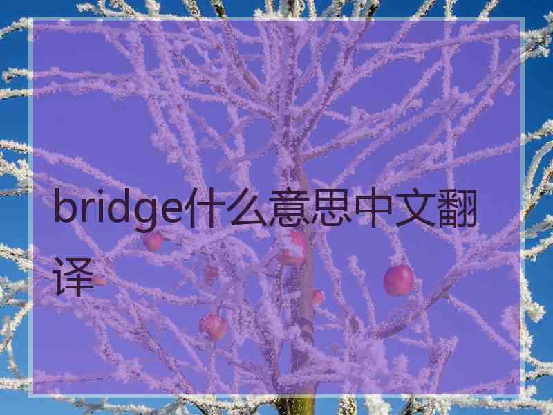 bridge什么意思中文翻译
