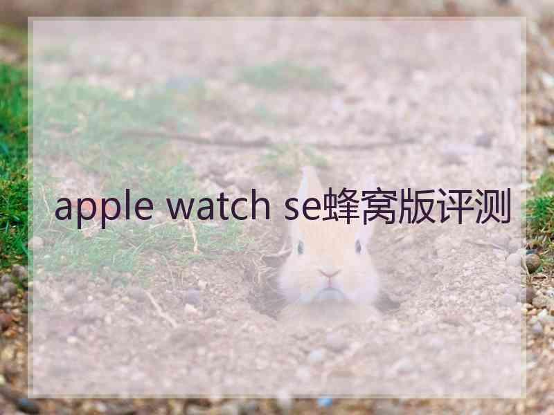 apple watch se蜂窝版评测