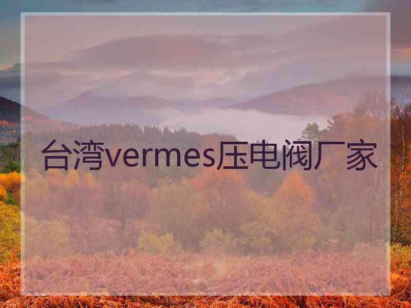 台湾vermes压电阀厂家