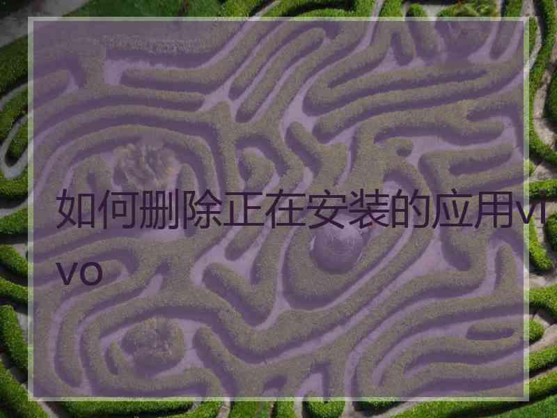 如何删除正在安装的应用vivo