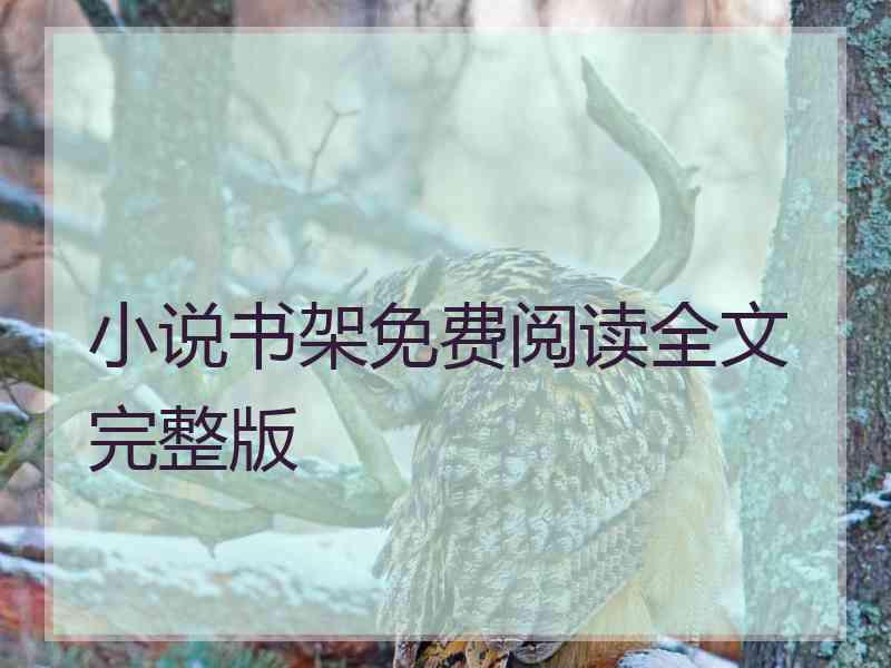 小说书架免费阅读全文完整版