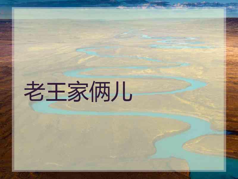 老王家俩儿