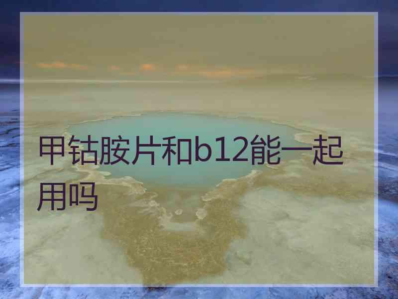 甲钴胺片和b12能一起用吗