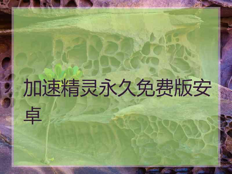 加速精灵永久免费版安卓