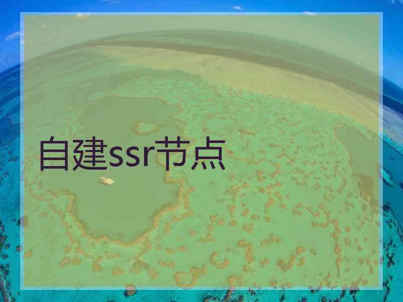 自建ssr节点