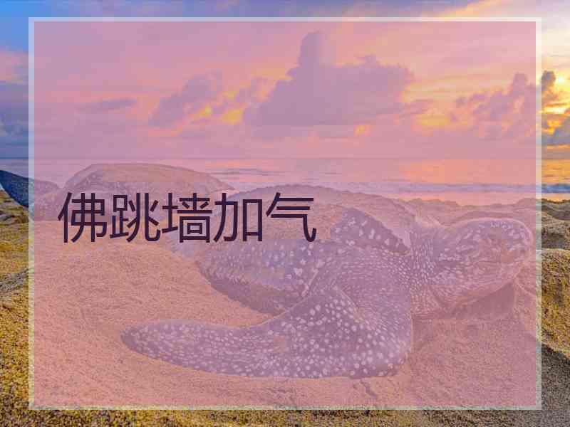 佛跳墙加气