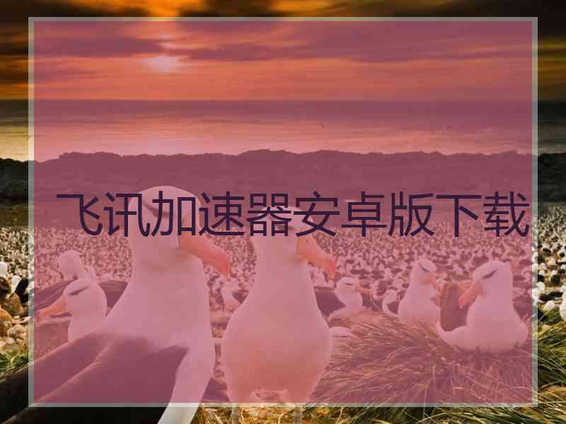 飞讯加速器安卓版下载