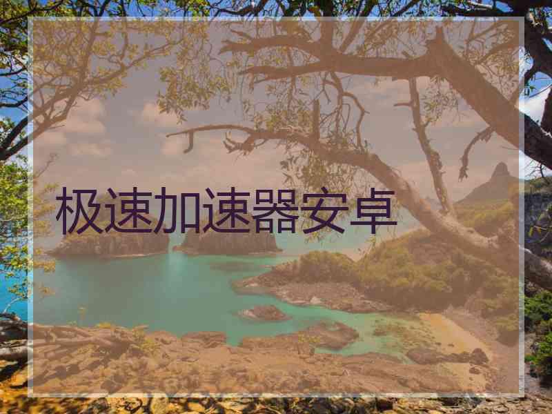 极速加速器安卓