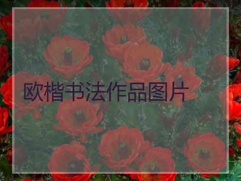 欧楷书法作品图片